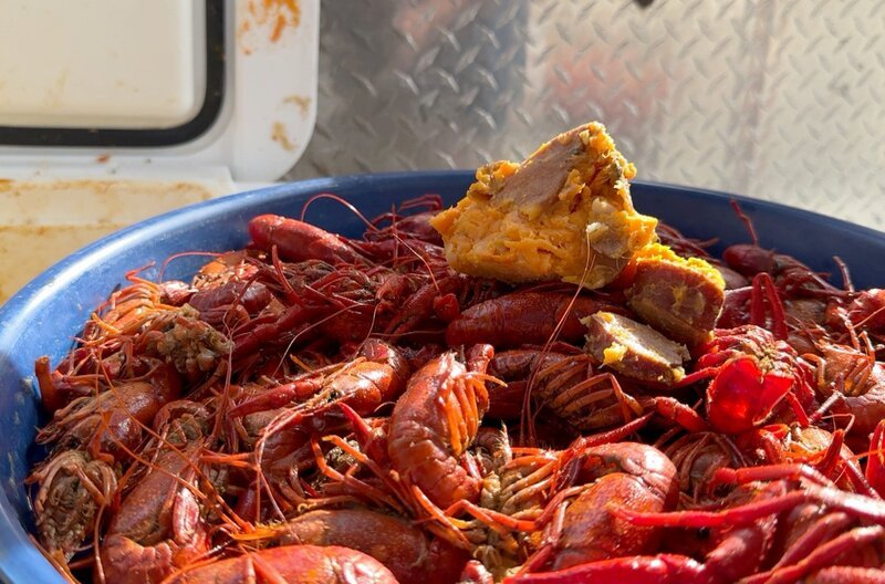 Louisiana ist bekannt für seinen Jazz, die Bayous und die roten Sumpfkrebse, die in New Orleans als leckerer Crawfish Boil verspeist werden. – Bild: Elephant Doc