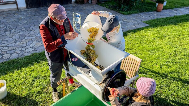 Max Elsa und Marianne pressen die Trauben zu Saft. – Bild: ORF/​Soleil Film