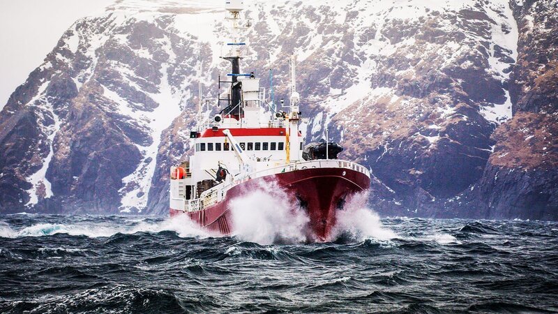 Stalbas am Meer, Schneeberge im Hintergrund. – Bild: Warner Bros. Discovery
