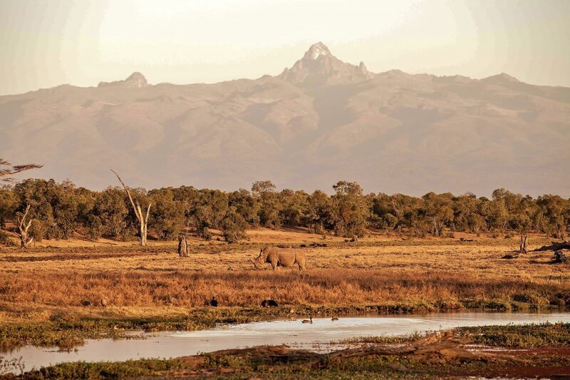 Der Mount Kenya ist der zweithöchste Berg in Afrika. – Bild: MDR/​Frank Feustle