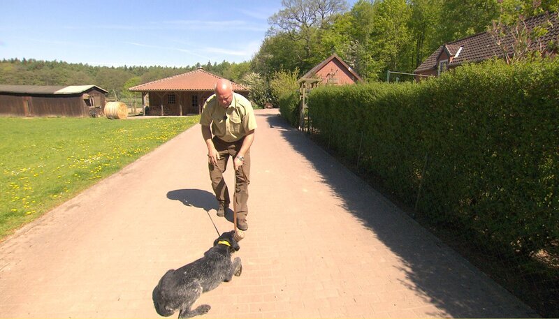 Das apportierren ist den Hunden nicht angeboren, es muss trainiert werden. – Bild: NDR/​JOKER PICTURES