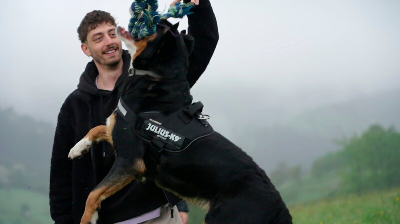 Jason spielt mit Bello, damit er ausgepowert ist, bevor er zu den Katzen in die Wohnung darf. – Bild: BR/​Text und Bild Medienproduktion GmbH & Co. KG