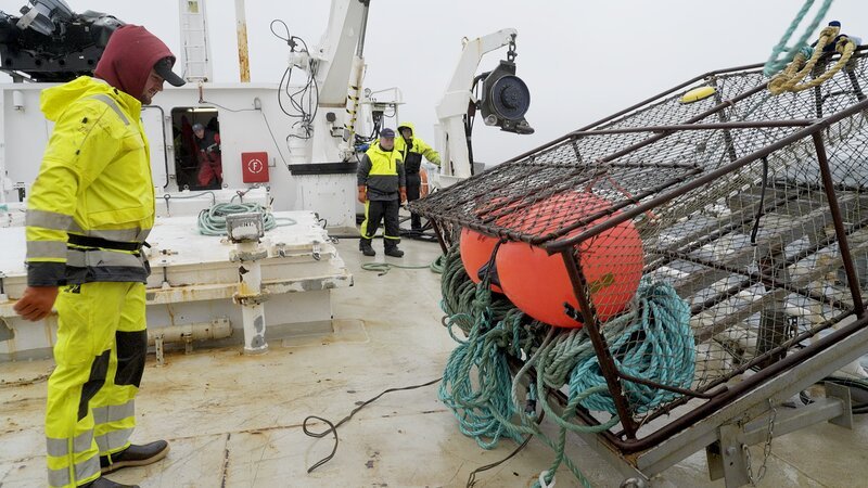 Die Stalbas-Crew bereitet den Topf zum Aushärten vor. – Bild: Discovery, Inc. All Rights Reserved