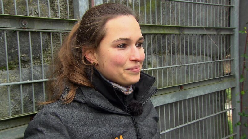 Bild: RTL