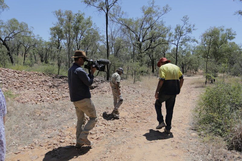 Bild: WildBear Entertainment Pty Ltd Lizenzbild frei