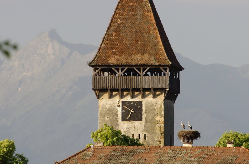 Im Mittelalter bauten die Siedler Kirchenburgen, um sich bei Angriffen feindlicher Heere zu verschanzen. Sieben von ihnen wurden von der Unesco als Weltkulturerbe anerkannt. Sie bieten Lebensraum für Störche, Eulen und Fledermäuse. – Bild: Tobias Mennle