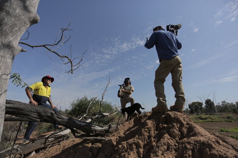 Bild: WildBear Entertainment Pty Ltd Lizenzbild frei