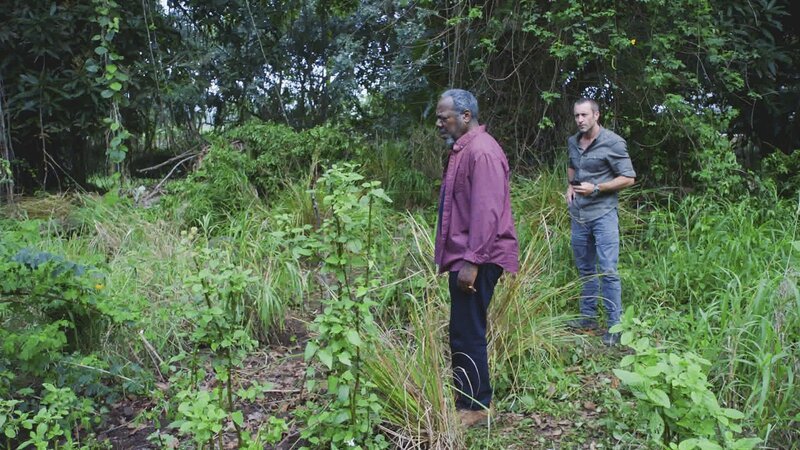 Leroy Davis (Frankie Faison, l.) bringt Steve McGarrett (Alex O’Loughlin, r.) zu einem ganz besonderen Ort … – Bild: CBS Broadcasting, Inc.