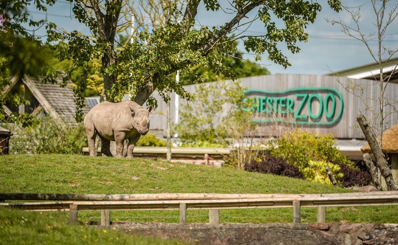 Spitzmaulnashorn. – Bild: ORF/​Universal/​Steve Rawlins