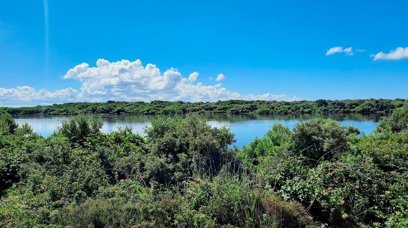 Naturgebiet De Geul. – Bild: ZDF und SR/​Barbara Lindahl
