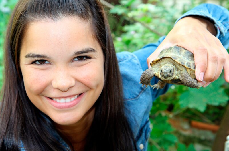 Die kleine Landschildkröte fühlt sich wohl in Annas Hand. – Bild: BR/​TEXT + BILD Medienproduktion GmbH & Co. KG