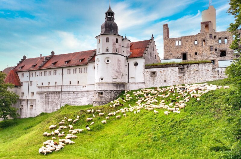 Der Albschäferweg hat nicht nur reizvolle Landschaften zu bieten. An der Strecke liegen auch beeindruckende Bauwerke, wie die Festungsanlage Schloss Hellenstein oberhalb von Heidenheim an der Brenz. – Bild: SWR/​Landratsamt Heidenheim/​Marcus Fache