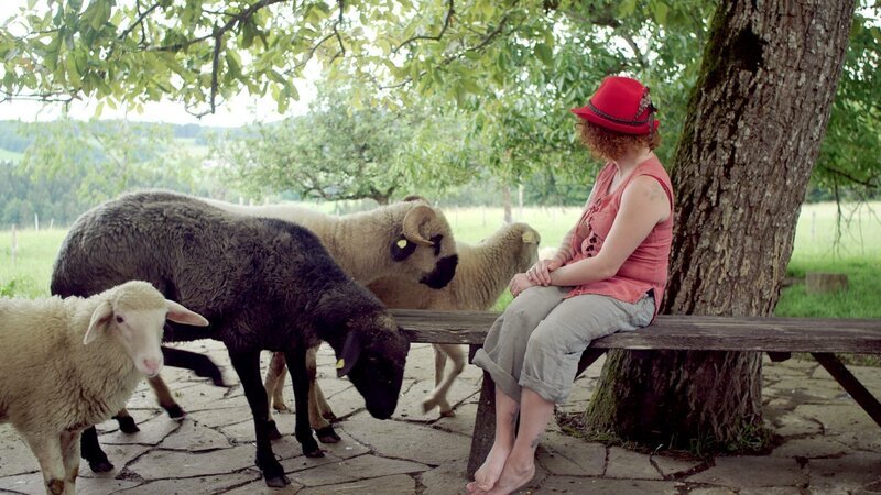 Falkensteiner; Landwirtin mit ihren Schafen. – Bild: ORF/​PopUp TV
