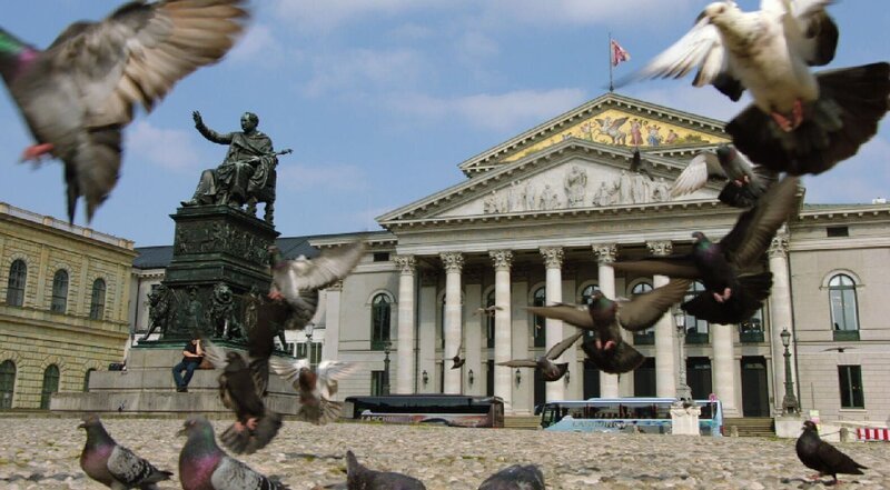 Tauben vor der Münchner Oper. – Bild: BR