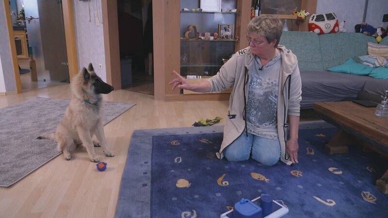 Anke Schwarze mit Tervueren-Dame Csilla. – Bild: RTL /​ Mina TV
