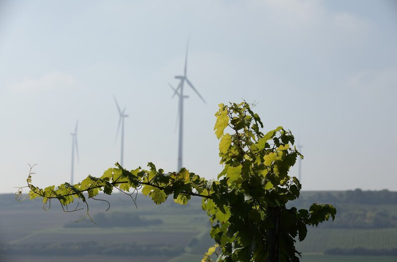 Manche nennen das Zellertal auch ironisch „Propellertal“. Die rund um das Tal aufgestellten Windkraftanlagen haben das Gesicht der Region nachhaltig verändert. – Bild: SWR/​Thomas Keck