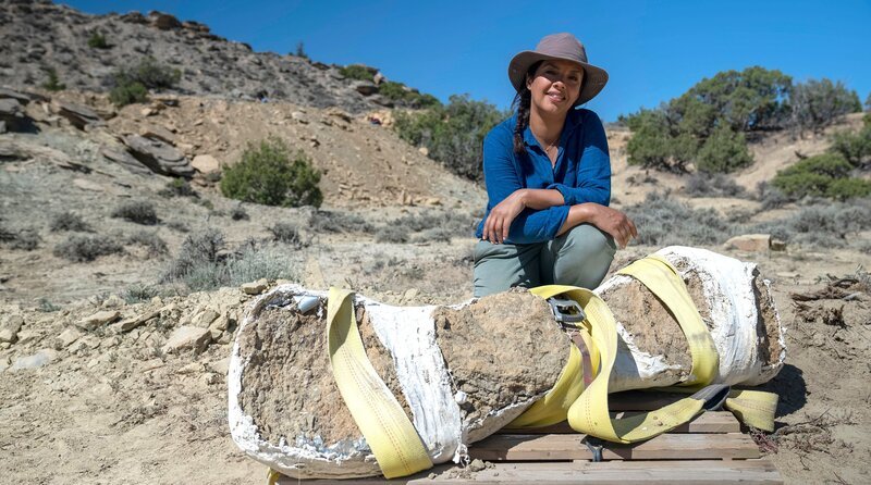 Liz Bonnin mit einem 150 Millionen Jahre alten Dinosaurierknochen aus dem Jura, sicher in Gips verpackt für den Transport von seiner geheimen Ausgrabungsstätte in Wyoming, USA. – Bild: phoenix/​BBC Studios/​Paul King