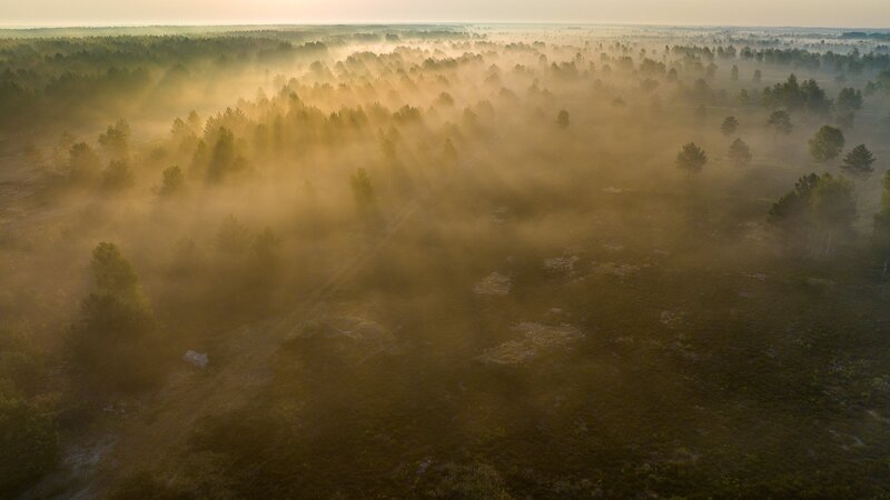 Langsam erwacht die Natur aus dem Winterschlaf. – Bild: ORF/​NDR Naturfilm/​Doclights Naturfilm/​Axel Gebauer