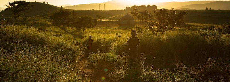 Die zweite Folge des Dreiteilers Südafrika rückt die tropische Ostküste und die angrenzende Buschsavanne mit ihren tierischen Bewohnern in den Mittelpunkt. In den Mangroven trifft man auf stattliche Nilkrokodile und Weißkehlwarane und die Savanne ist die Heimat der Elefanten. – Bild: Servus TV