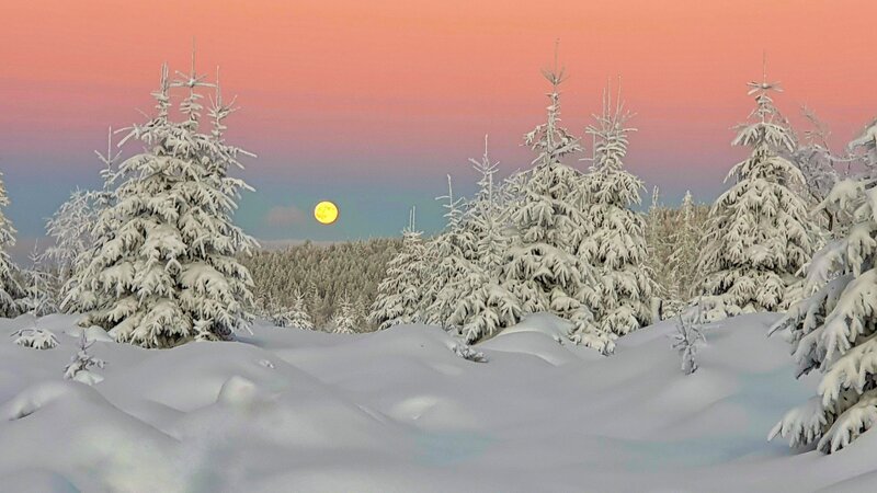 Zauberhafter Winterwald bei Vollmond. – Bild: Kay Ziesenhenne /​ Nautilusfilm /​ Terra Mater Studios GmbH