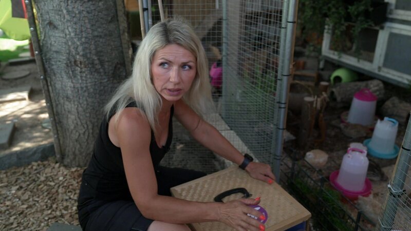 Bild: RTL