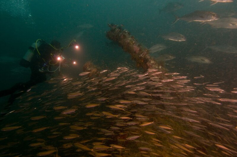Divers explore the German U-Boat, U-352, whose remains were discovered in 1975 below 115 feet of water along Cape Hatteras. – Bild: Courtesy of Disney+