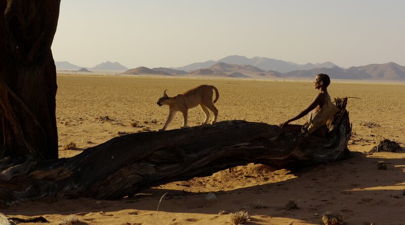 San mit Wüstenluchs – Bild: BR