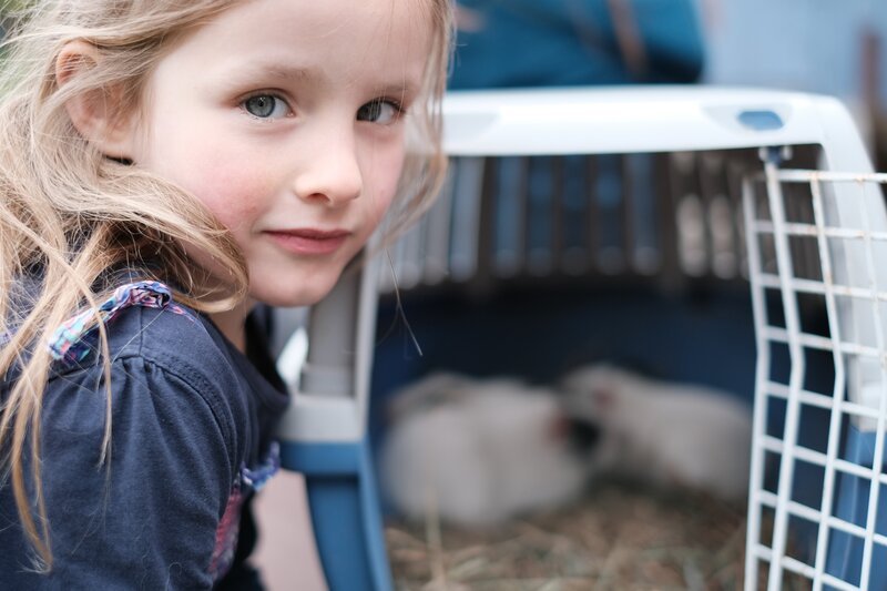Malou schließt die Meerschweinchen in ihr Herz und kümmert sich um die neuen Mitbewohner. – Bild: ZDF/​Studio.TV.Film GmbH