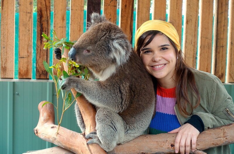 Koalas haben ein ganz weiches Fell. – Bild: BR/​Text + Bild Medienproduktion