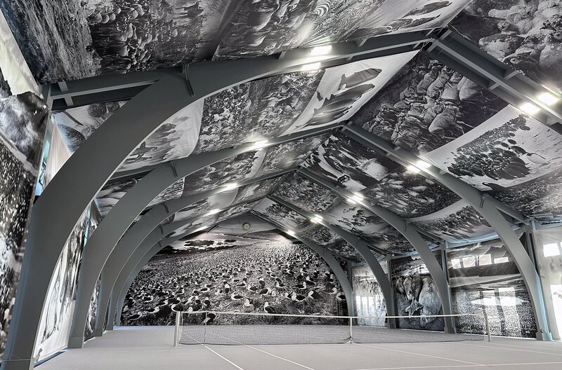 Tomasz Gudzowaty interessiert sich für die optische Wirkung atemberaubender Massenphänomene und die besondere Präsenz der Tiere im Raum, wie hier bei der Ausstellung seiner Serie „Closer“. – Bild: Nicola Graef/​Graef Screen Productions