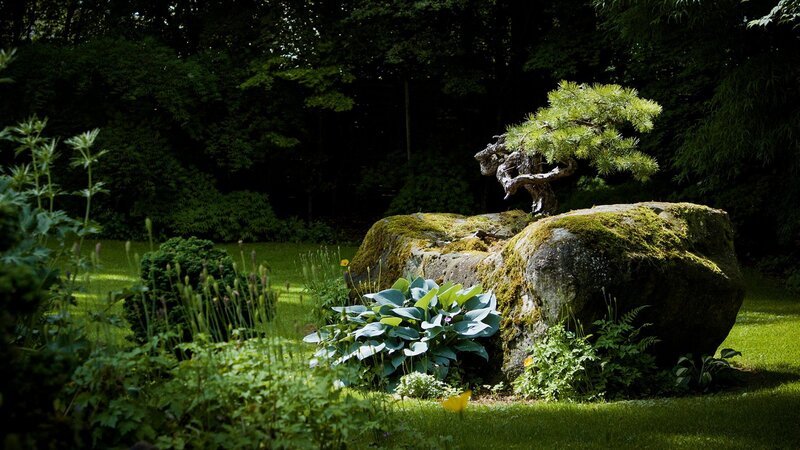 Hinter den Hecken Bonsaigarten in Boswil AG Staffel 6 Folge 9 In Pius Notters privatem Garten stehen seine liebsten Bonsai-Bäume in einer japanisch gestalteten Anlage. – Bild: SRF
