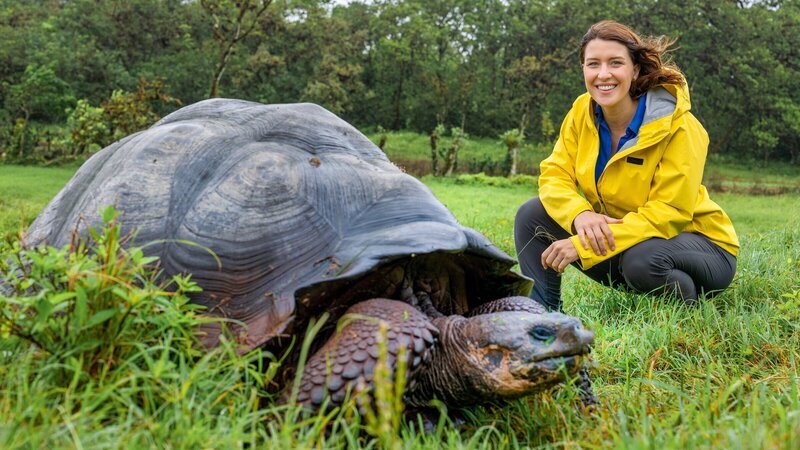 Nicht nur Charles Darwin war tief beeindruckt von den größten Vegetariern der Galapagosinseln. Hannah Emde begleitet die Urzeitriesen, die wie Bulldozer durch das Hochland von Santa Cruz pflügen. – Bild: ZDF