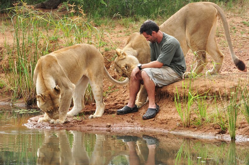 Kevin Richardson mit seinen Löwinen am Fluss. – Bild: Kingdom Films