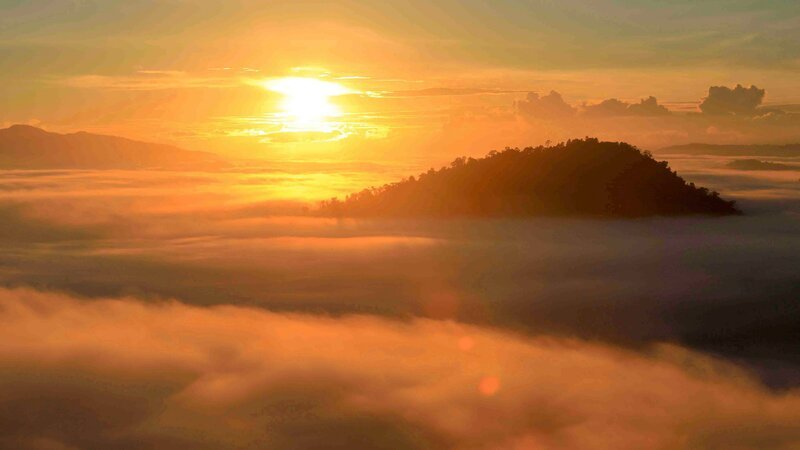 Sonnenaufgang über dem nebelbedeckten Danum-Tal. Sabah, Malaysien. – Bild: Terra Mater /​ Matt Hamilton
