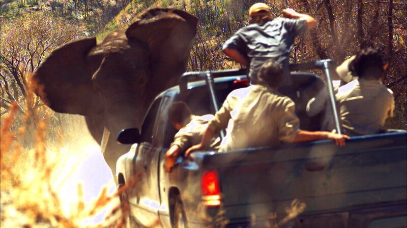 Bild: Animal Planet /​ Discovery Communications