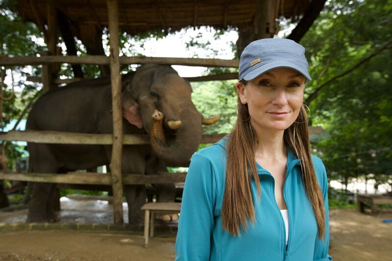 Presenter Kathrine Connor with Thong (elephnat with with chemical burns on his ears) – Bild: @RTL