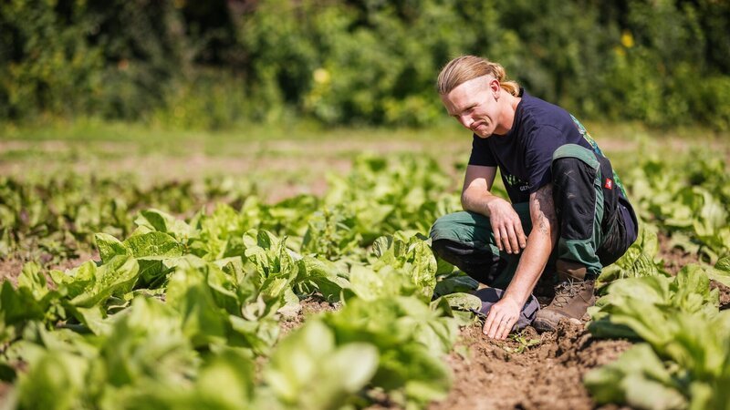 Matthias Kuhn: Biobauer aus Baden-Württemberg. – Bild: 3sat