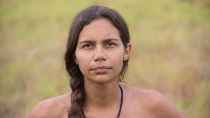 Afften. – Bild: Discovery Channel /​ Discovery Communications