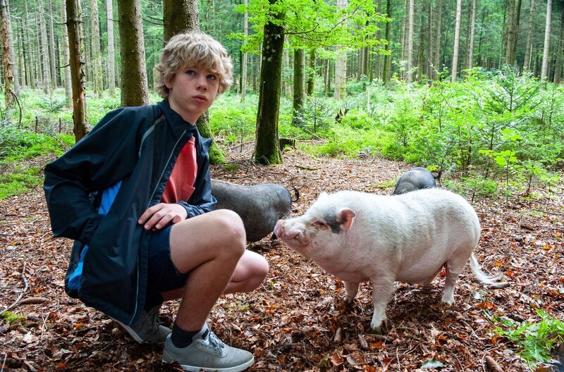 Tim (Noah Böhm) führt seine neuen Freunde im Wald spazieren. – Bild: SWR/​Maria Wiesler