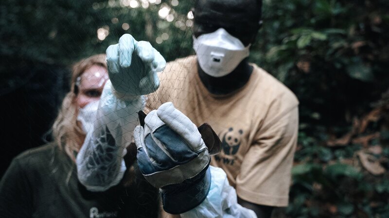 Mit Maske im Regenwald – Bild: SRF/​NZZ Format