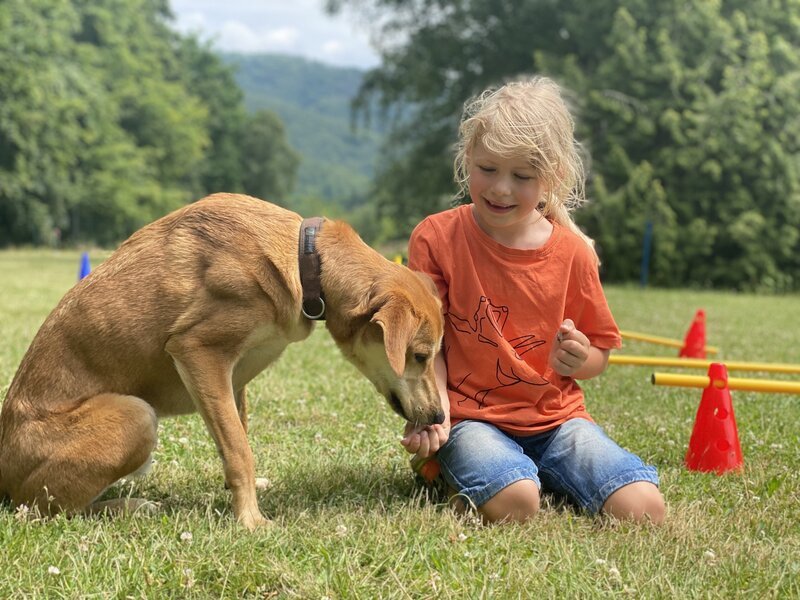 Milan und sein Hund Simba gehen zum Hundetraining. – Bild: rbb/​Iris Stark
