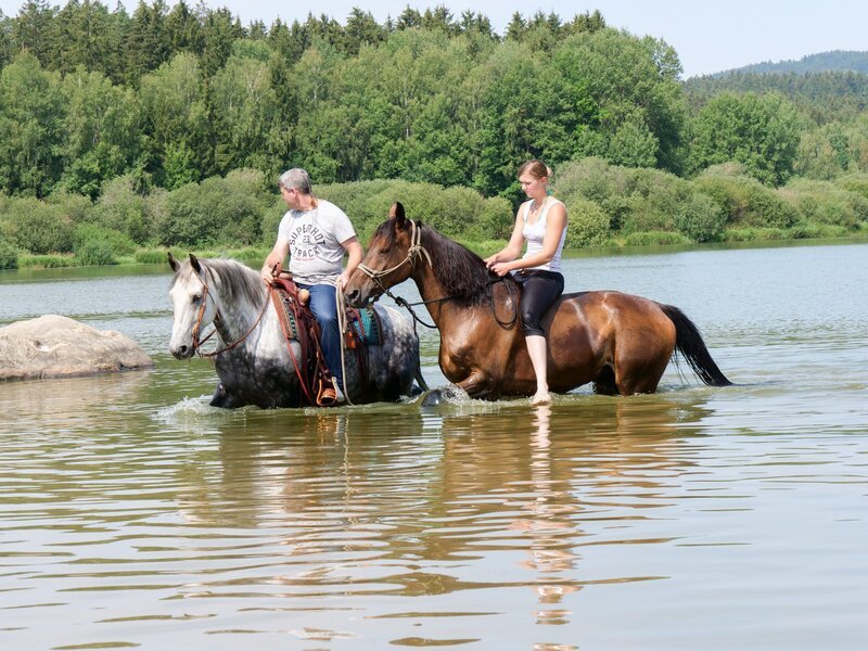Kerstin Rester und Bernd Hackl auf Ferrox und Wildfire – Bild: TVNOW /​ Mina TV