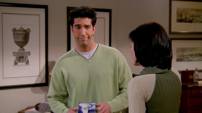 Ross Geller (David Schwimmer), Monica Geller (Courteney Cox) – Bild: MAX Hungary
