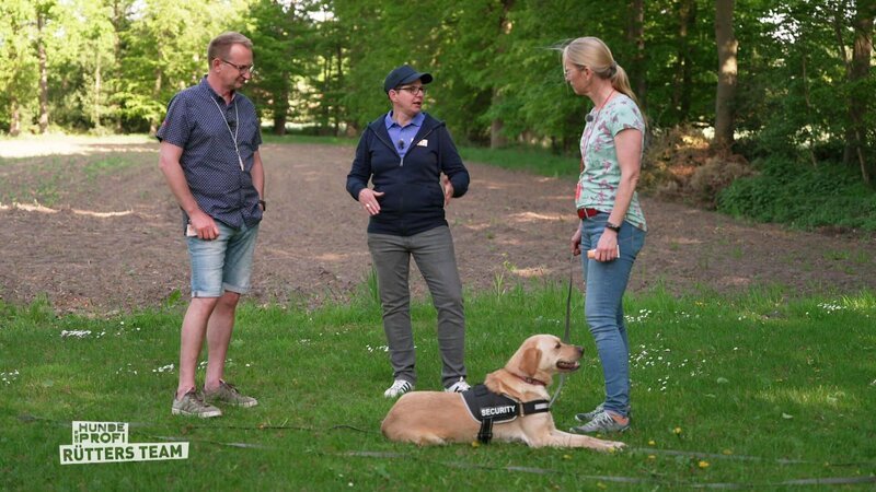 Bild: RTL