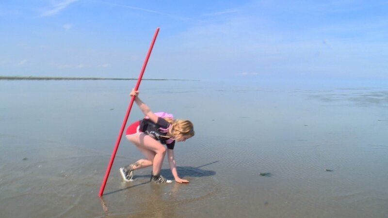 Sarah (6 Jahre) ist eine echte Watt-Expertin. Besonders fasziniert ist sie von den Krebsen, die sie auf ihrer Wanderung findet. Ihren roten Stock hat sie auf Wanderungen durchs Wasser immer dabei. – Bild: ZDF/​KRO-NCRV