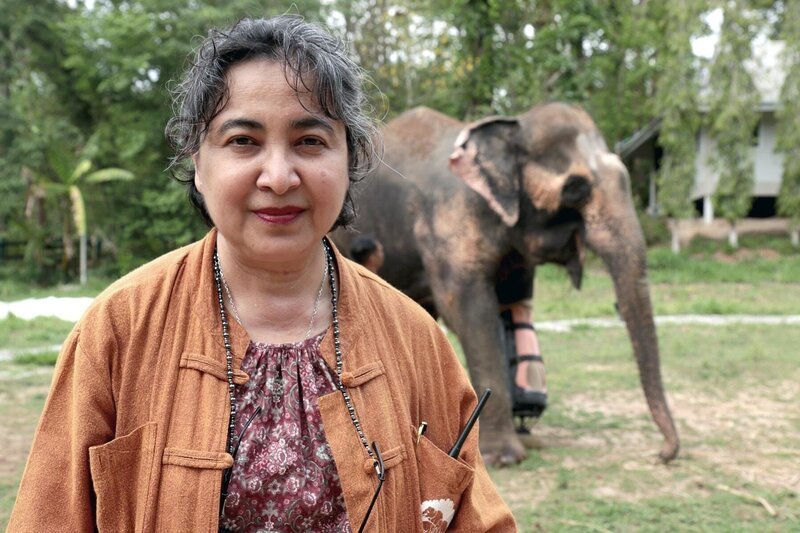 1993 gründete Soraida Salwala im Norden Thailands das erste Elefantenkrankenhaus des Landes. Finanziert wird es bis heute ausschließlich durch private Spenden. – Bild: MedienKontor /​ Markus Zwilling