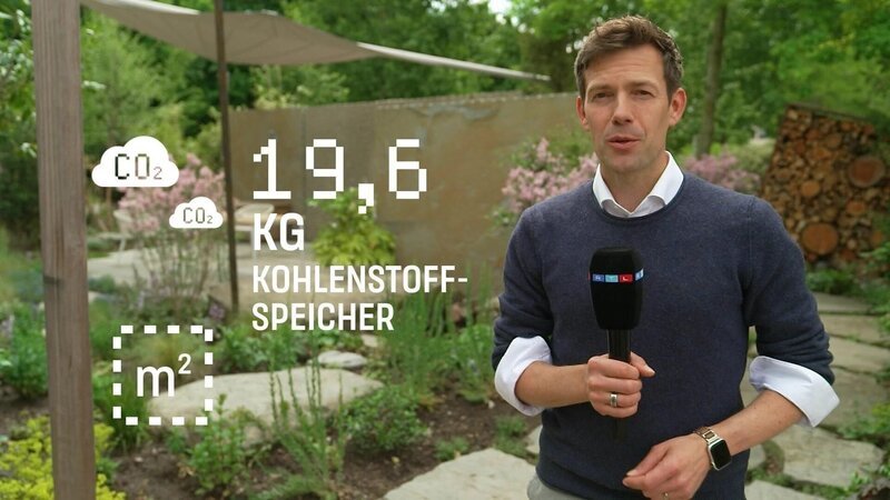 Bild: RTL