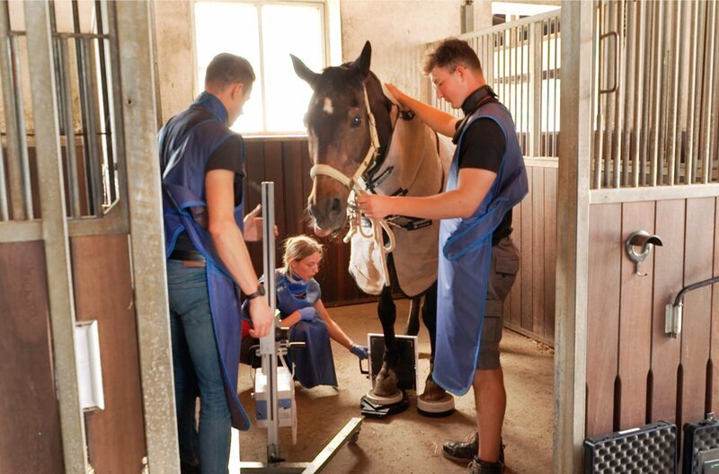 Patient Pferd – Vorbereitung zum Mobilen Röntgen: Dr. Christian Schreitmüller (l.) Alina Oberscheid (M.) und der tiermedizinische Fachangestellte Manuel Götz  (r.). – Bild: SWR/​ teamwerk