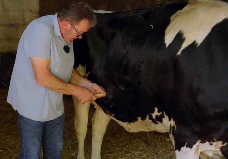 Dr. Herbert – Bild: Joyn