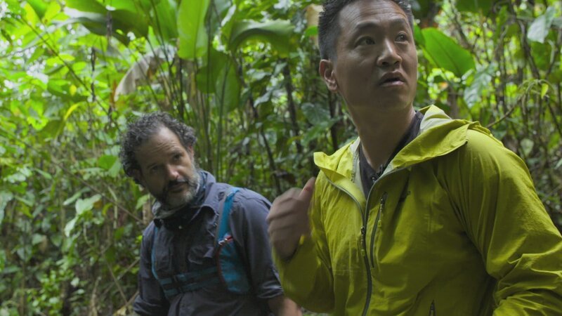 Albert Lin und Santiago Giraldo im Dschungel der Ciudad Perdida. – Bild: National Geographic